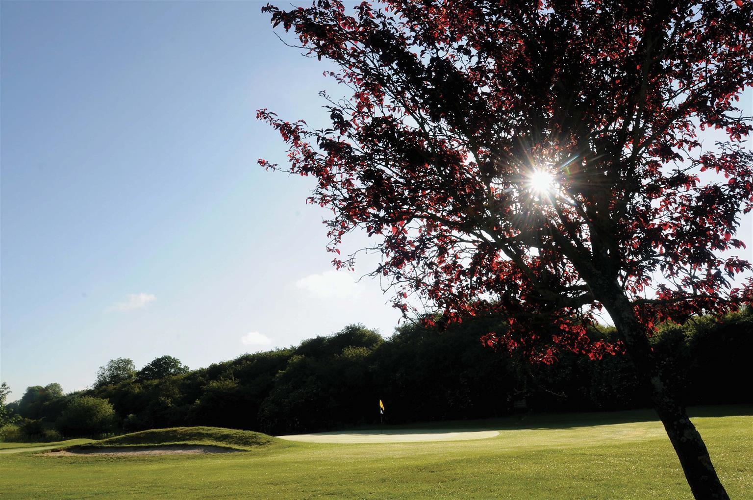 Best Western Plus Ullesthorpe Court Hotel & Golf Club 루터워스 시설 사진
